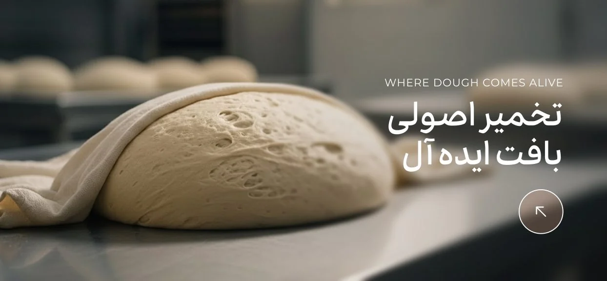 اتاق تخمیر