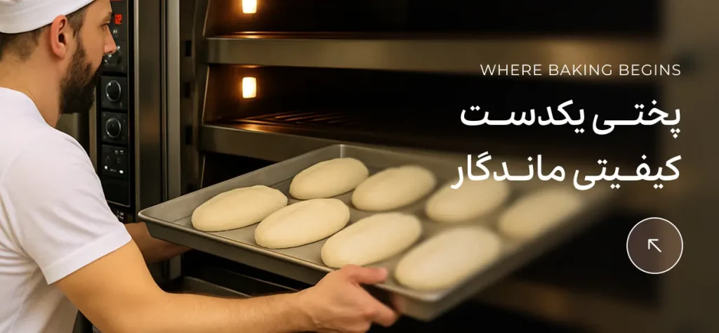 محصولات پیشنهادی